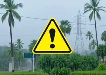 Últimas noticias de Palmas