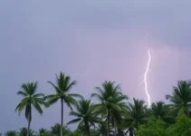 previsão do tempo em Palmas