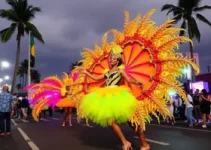 Carnaval em Palmas