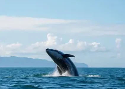 Últimas noticias de Palmas