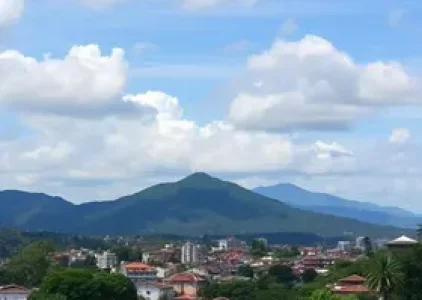 Últimas noticias de Palmas