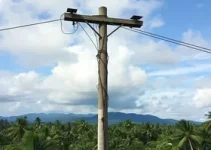 acidente com poste em Palmas