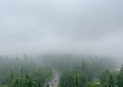 Últimas noticias de Palmas