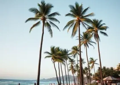 Últimas noticias de Palmas