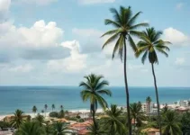 Prefeitura de Palmas decreta ponto facultativo