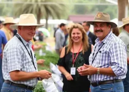 Últimas noticias de Palmas