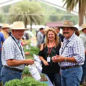 Sindicato Rural Palmas