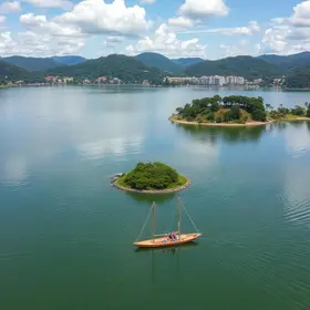 Palmas
