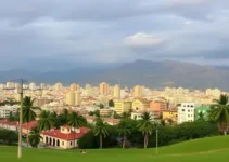 Palmas