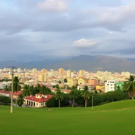 Palmas