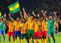 Copa do Mundo em Palmas