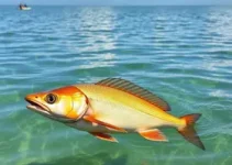 Conferência Nacional de Aquicultura e Pesca