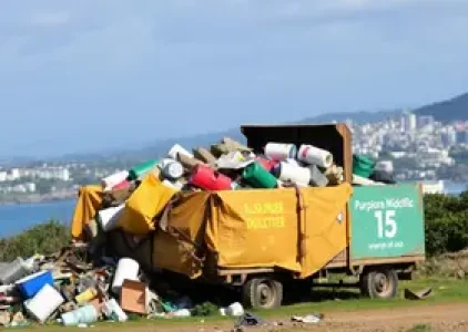 Últimas noticias de Palmas