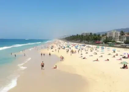Últimas noticias de Palmas