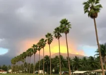 calor intenso em Palmas