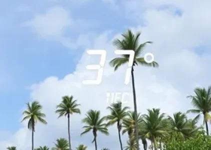 Últimas noticias de Palmas