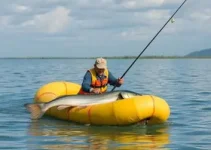 pescador no lago de Palmas