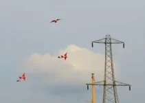 interrupções de energia