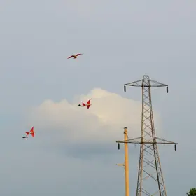 interrupções de energia