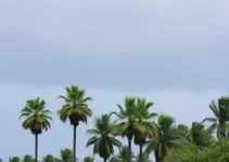 redemoinhos em Palmas