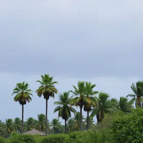 redemoinhos em Palmas