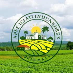 selo municipal agroindústria Palmas