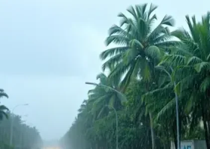 Últimas noticias de Palmas