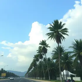 calor Palmas 39 graus