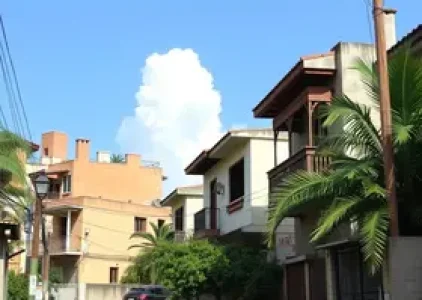 Últimas noticias de Palmas
