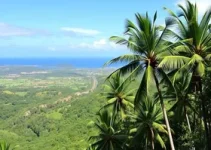 passagens aéreas Jalapão