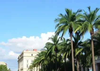 Últimas noticias de Palmas
