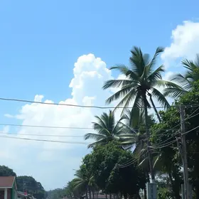 veranico