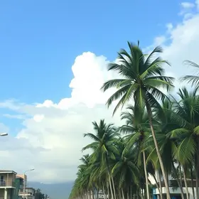 altas temperaturas em Palmas
