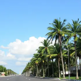 regularização fundiária