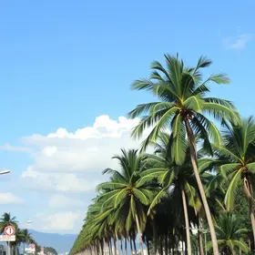 gestão das UPAs em Palmas