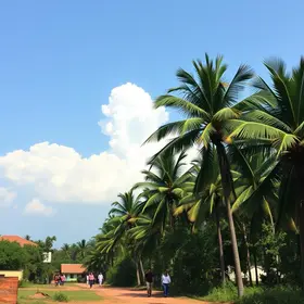 censo de povos de matriz africana em Palmas