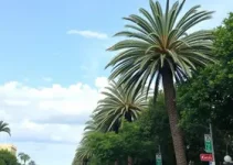 vacinação