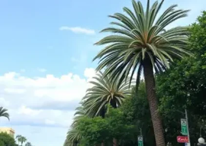 Últimas noticias de Palmas