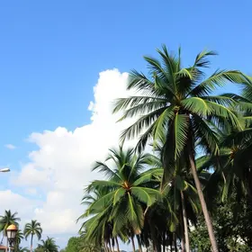 gestão das UPAs em Palmas