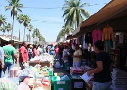 Últimas noticias de Palmas