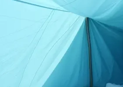 Últimas noticias de Palmas