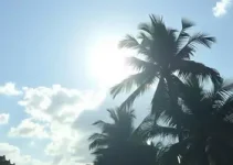 calor em Palmas