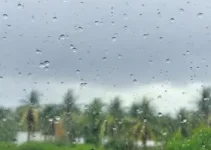 chuva e vento em Palmas