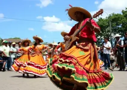 Últimas noticias de Palmas