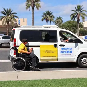 transporte gratuito eleições Palmas
