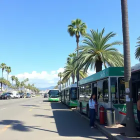 atendimento presencial ônibus Palmas