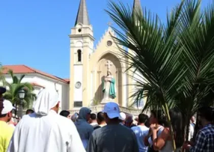 Últimas noticias de Palmas