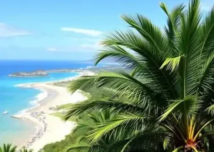 Últimas noticias de Palmas