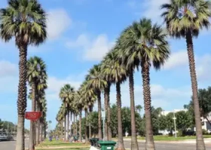 Últimas noticias de Palmas