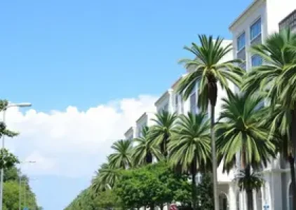 Últimas noticias de Palmas